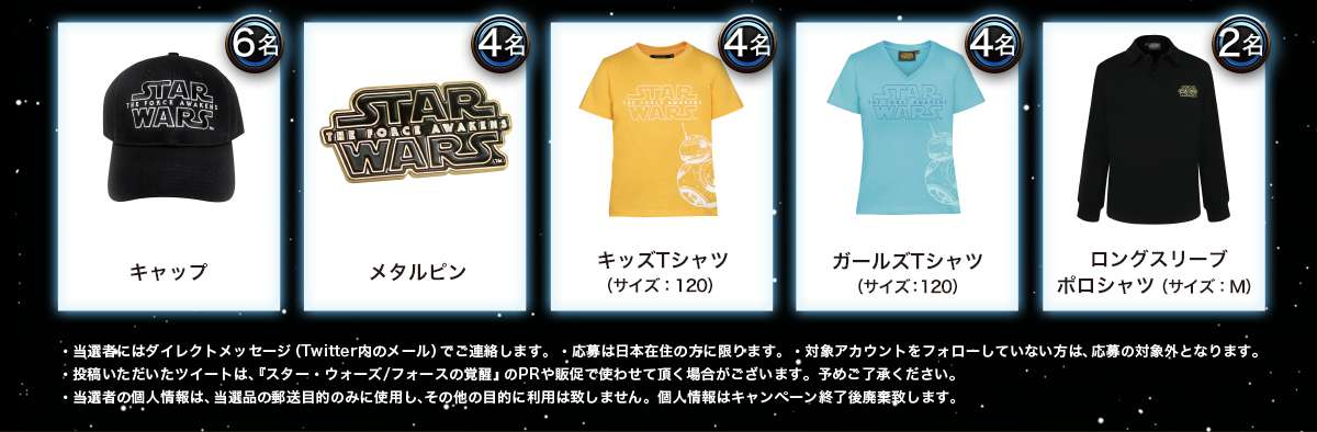 キャップ：6名,メタルピン:4名,キッズTシャツ(サイズ:120):4名,ガールズTシャツ(サイズ:120):4名,ロングスリーブ
ポロシャツ（サイズ：M）:2名